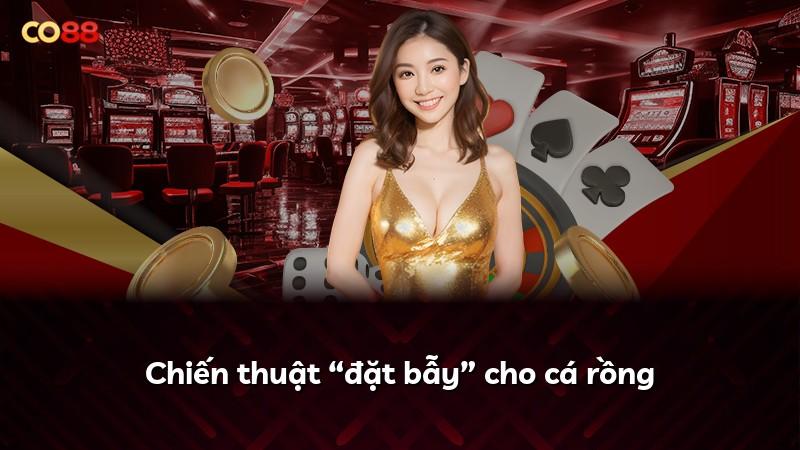 Chiến thuật “đặt bẫy” cho cá rồng