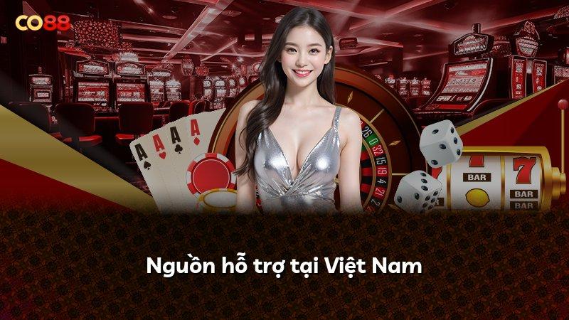 Nguồn hỗ trợ tại Việt Nam